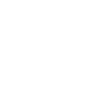 ACE logo